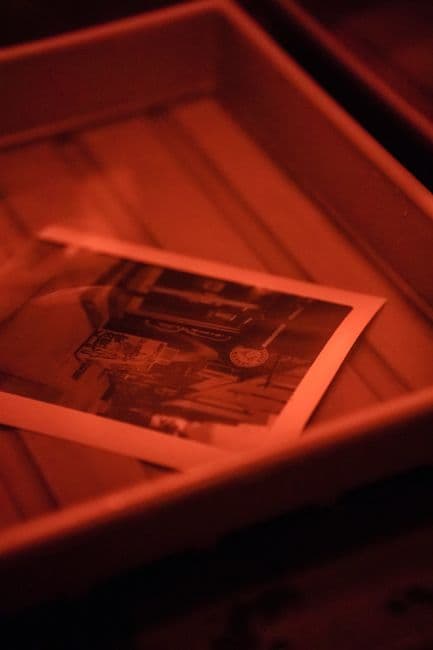 Hand-developed black and white darkroom print